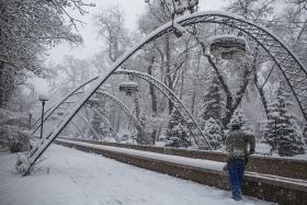Снегопад в Алматы. Фотография Жанары Каримовой
